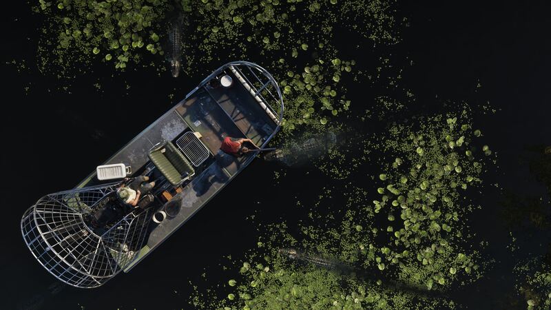GTA VI — скриншот 8