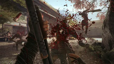 Аренда и прокат The Shadow Warrior Collection для PS4 для PS5 Хит 694