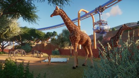 Аренда и прокат Planet Zoo (Турция) для PS5